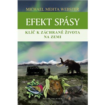 

Efekt spásy