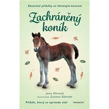 

Skutečné příběhy se šťastným koncem – Zachráněný koník