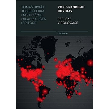 

Rok s pandemií covid-19. Reflexe v poločase