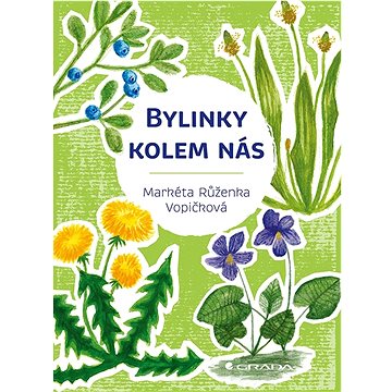 

Bylinky kolem nás