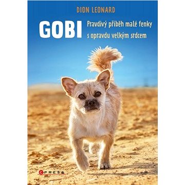 

Gobi