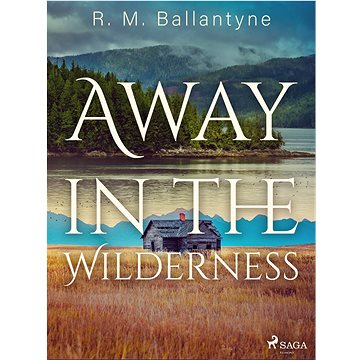 

Away in the Wilderness