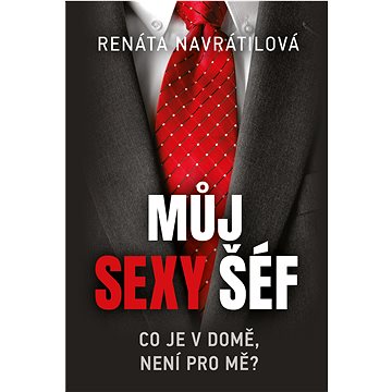 

Můj sexy šéf