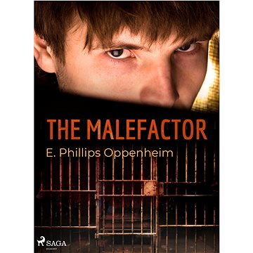

The Malefactor