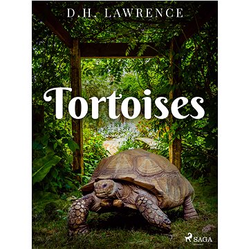

Tortoises