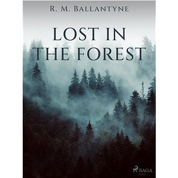 

Lost in the Forest
