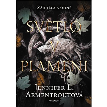 

Světlo v plameni
