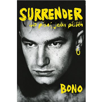 

Surrender: 40 písní, jeden příběh