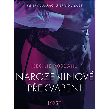 

Narozeninové překvapení - Erotická povídka