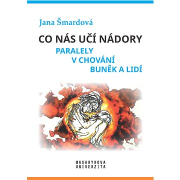 

Co nás učí nádory