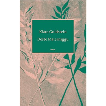

Deště Maierniggu