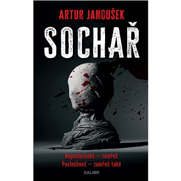 

Sochař