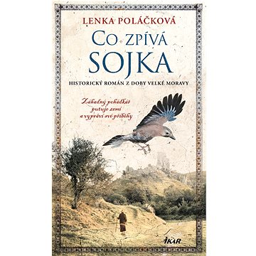 

Co zpívá Sojka