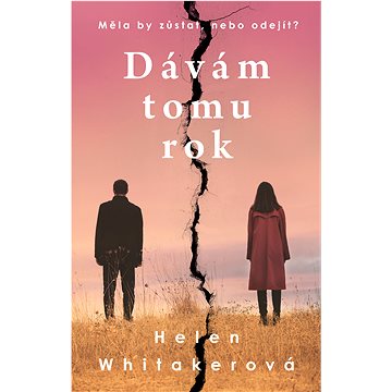 

Dávám tomu rok