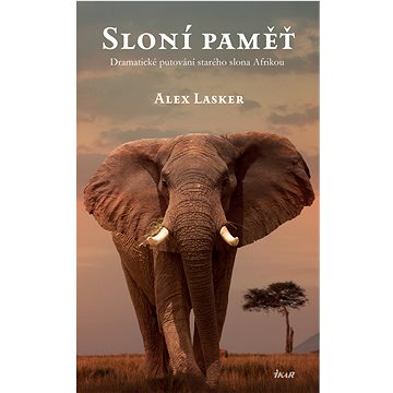 

Sloní paměť