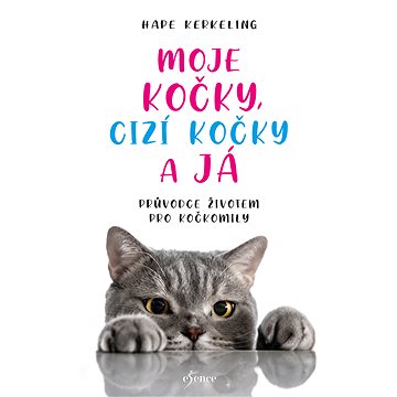 

Moje kočky, cizí kočky a já