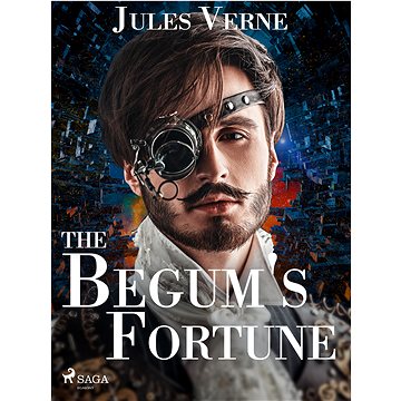 

The Begum's Fortune