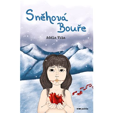 

Sněhová bouře