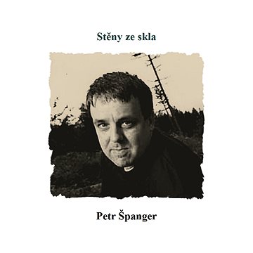 

Stěny ze skla
