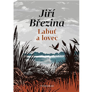 

Labuť a lovec