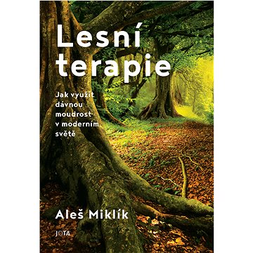 

Lesní terapie