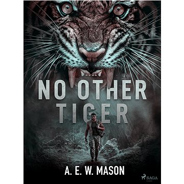 

No Other Tiger