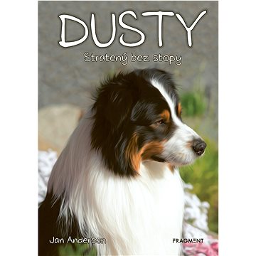 

Dusty 7: Stratený bez stopy