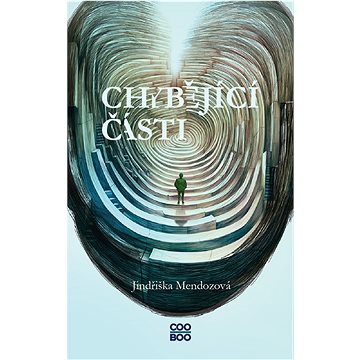 

Chybějící části