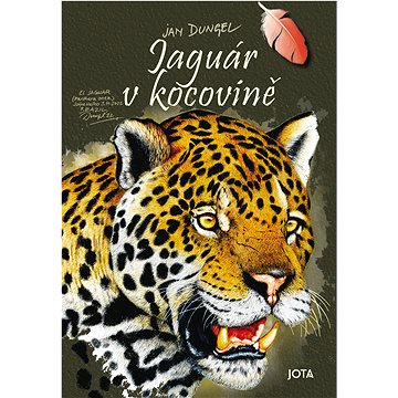 

Jaguár v kocovině