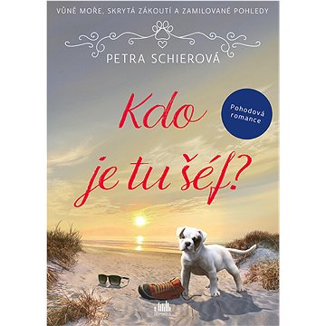

Kdo je tu šéf