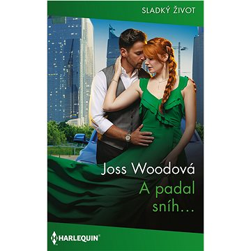 

A padal sníh…