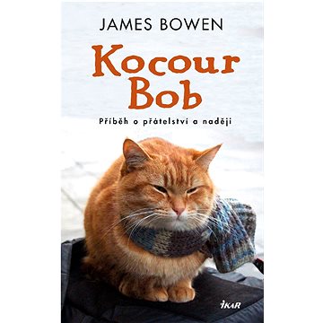 

Kocour Bob