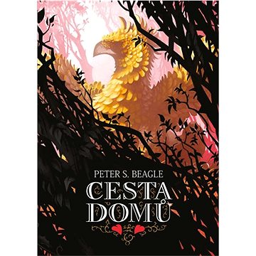 

Cesta domů