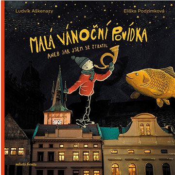 

Malá vánoční povídka aneb Jak jsem se ztratil