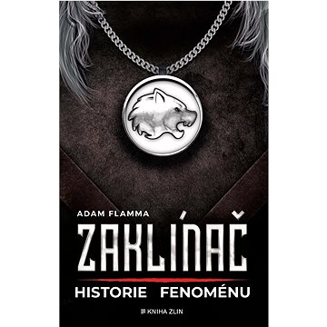 

Zaklínač – historie fenoménu