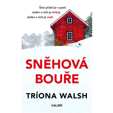 

Sněhová bouře