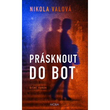 

Prásknout do bot