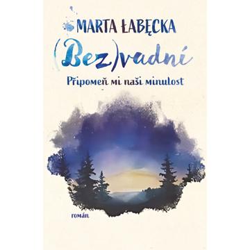 

(Bez)vadní 2 – Připomeň mi naši minulost