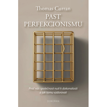 

Past perfekcionismu