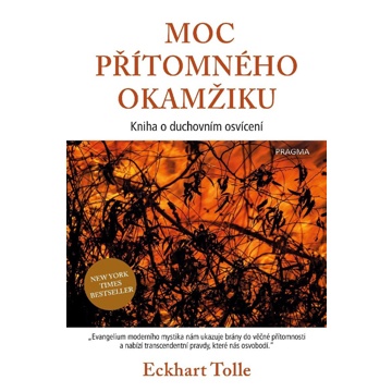 

Moc přítomného okamžiku