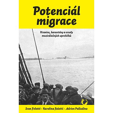 

Potenciál migrace