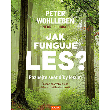 

Jak funguje les