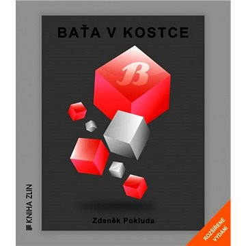 

Baťa v kostce
