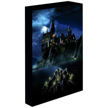 

Harry Potter - Bradavice, 30 × 40 cm - LED svítící obraz