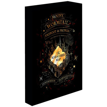 Harry Potter - Pobertův plánek, 30 × 40 cm - LED svítící obraz