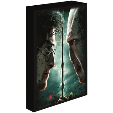 

Harry Potter - Harry vs. Voldemort, 30 × 40 cm - LED svítící obraz