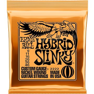 

Ernie Ball 2222 .009-.046 6 Strings