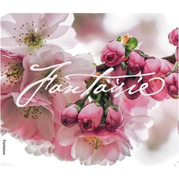 

Vaculová Kristina: Fantaisia - CD