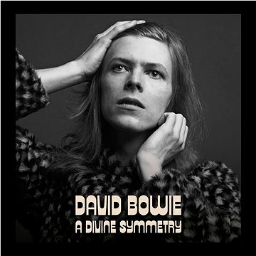 

Bowie David: A Divine Symmetry - LP
