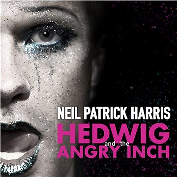 

Various: Hedwig And The Angry Inch (Coloured) (2x LP) - LP